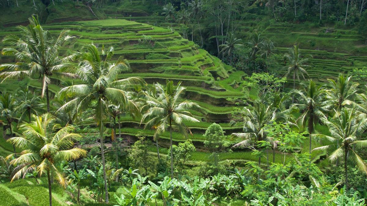 Bali