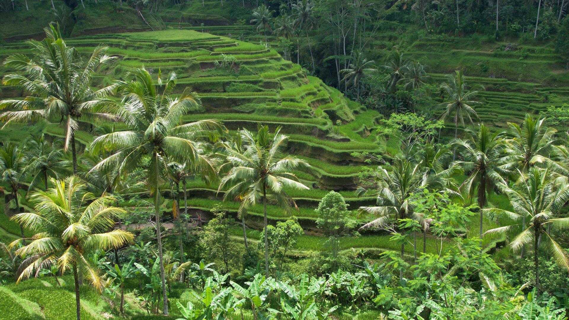 Bali, Indonesia