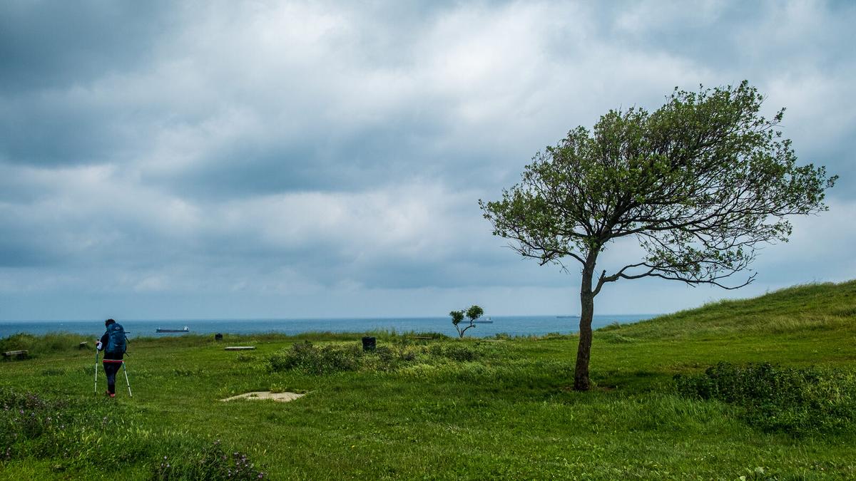 Camino De Santiago Frances 15 Days 2026 — imagem do artigo