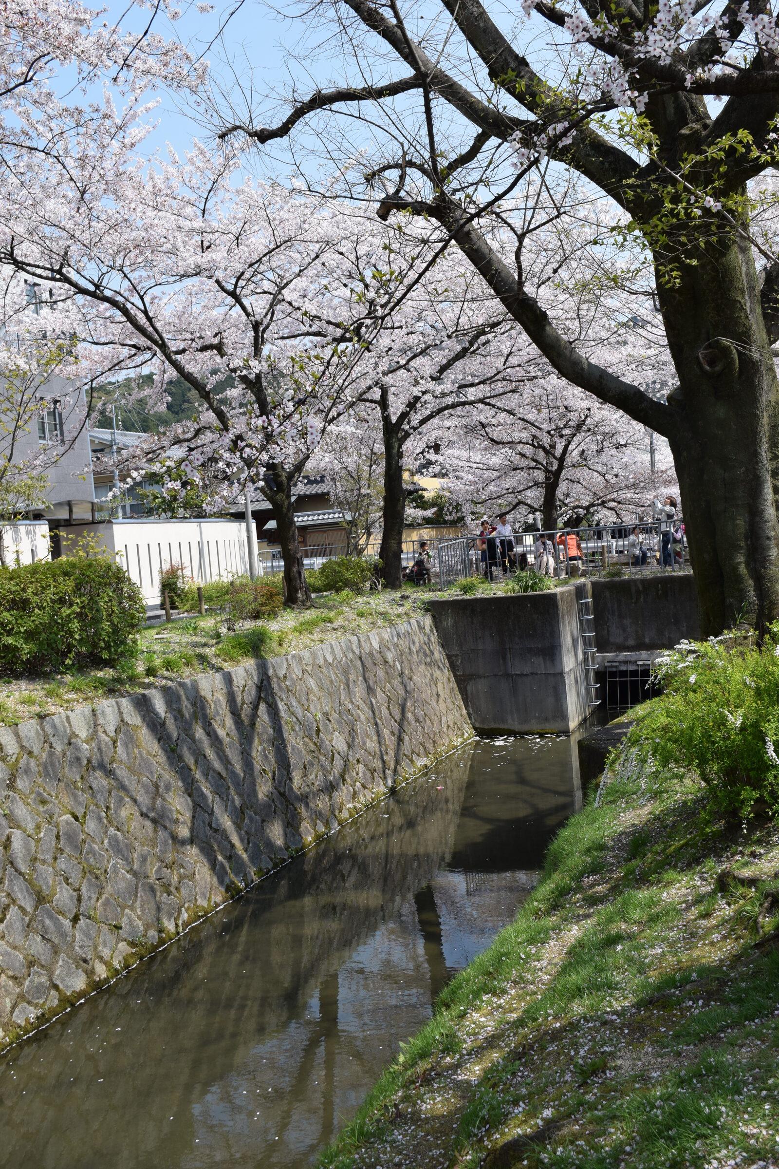 Shoulder Season 2026: When to Travel to Europe, Japan and Thailand Without Falling into the Peak-Season Trap — imagem do artigo